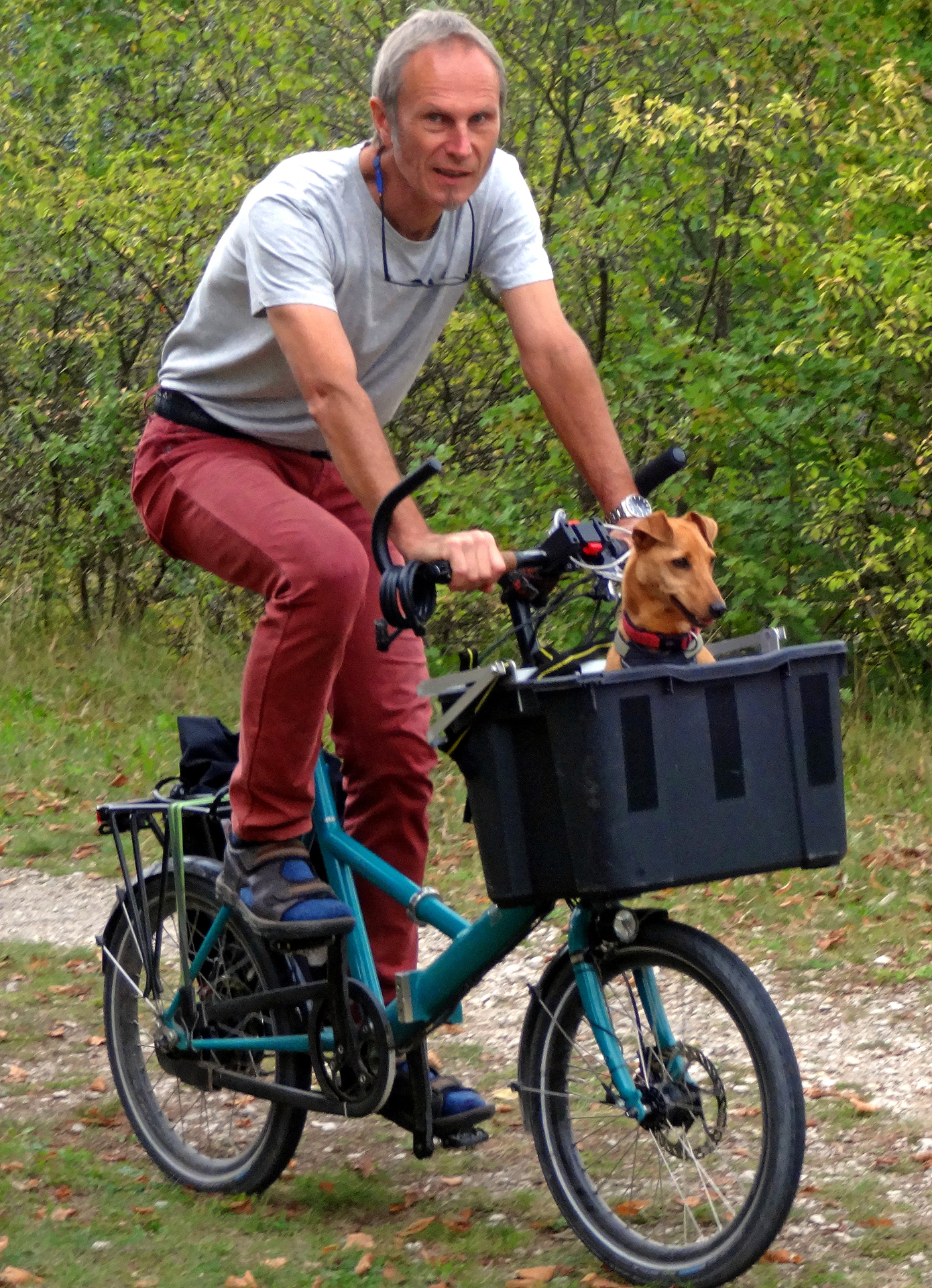 Mit Hund und FaltBäckerrad Samson reisen Fahrradzukunft
